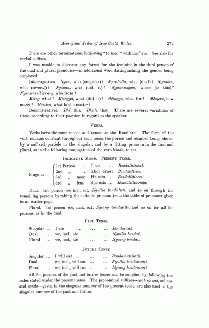 R.H. Mathews publishes Darkinung Language 1903, p274 Verbs & Tense